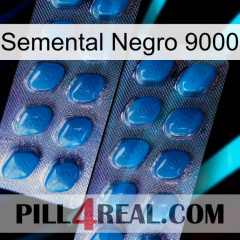 Black Stallion 9000 viagra2